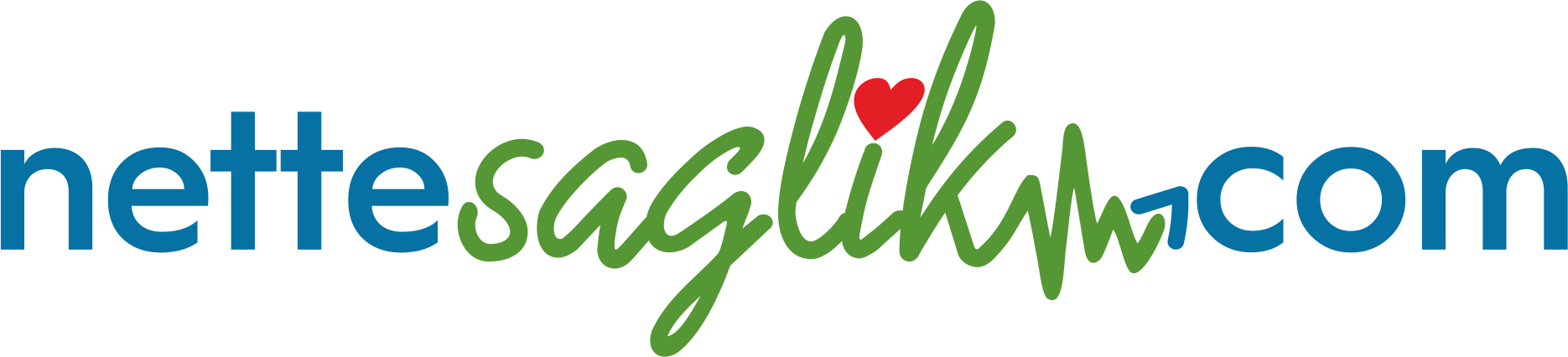 Nette Logo